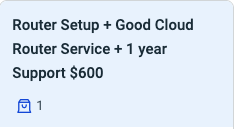 Book a 1-year cloud-router setup